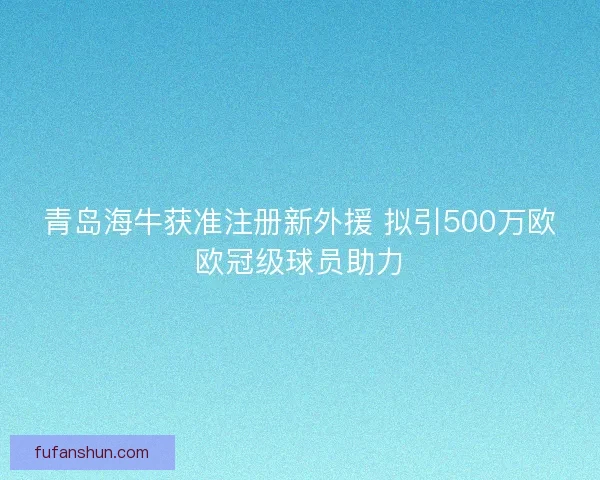 青岛海牛获准注册新外援 拟引500万欧欧冠级球员助力