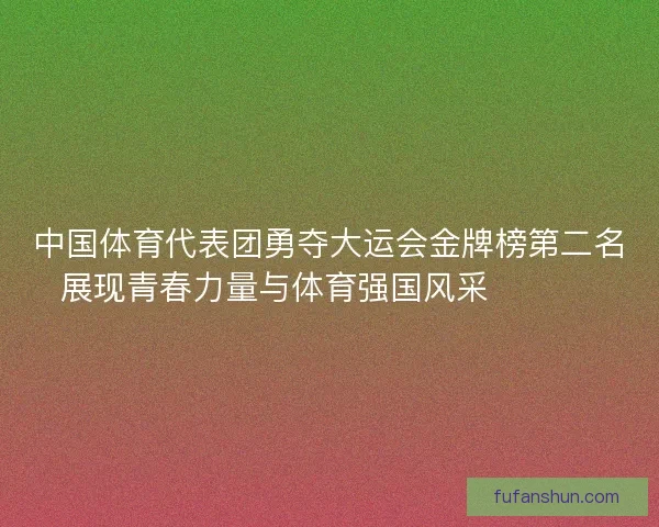 中国体育代表团勇夺大运会金牌榜第二名展现青春力量与体育强国风采 🏅🇨🇳
